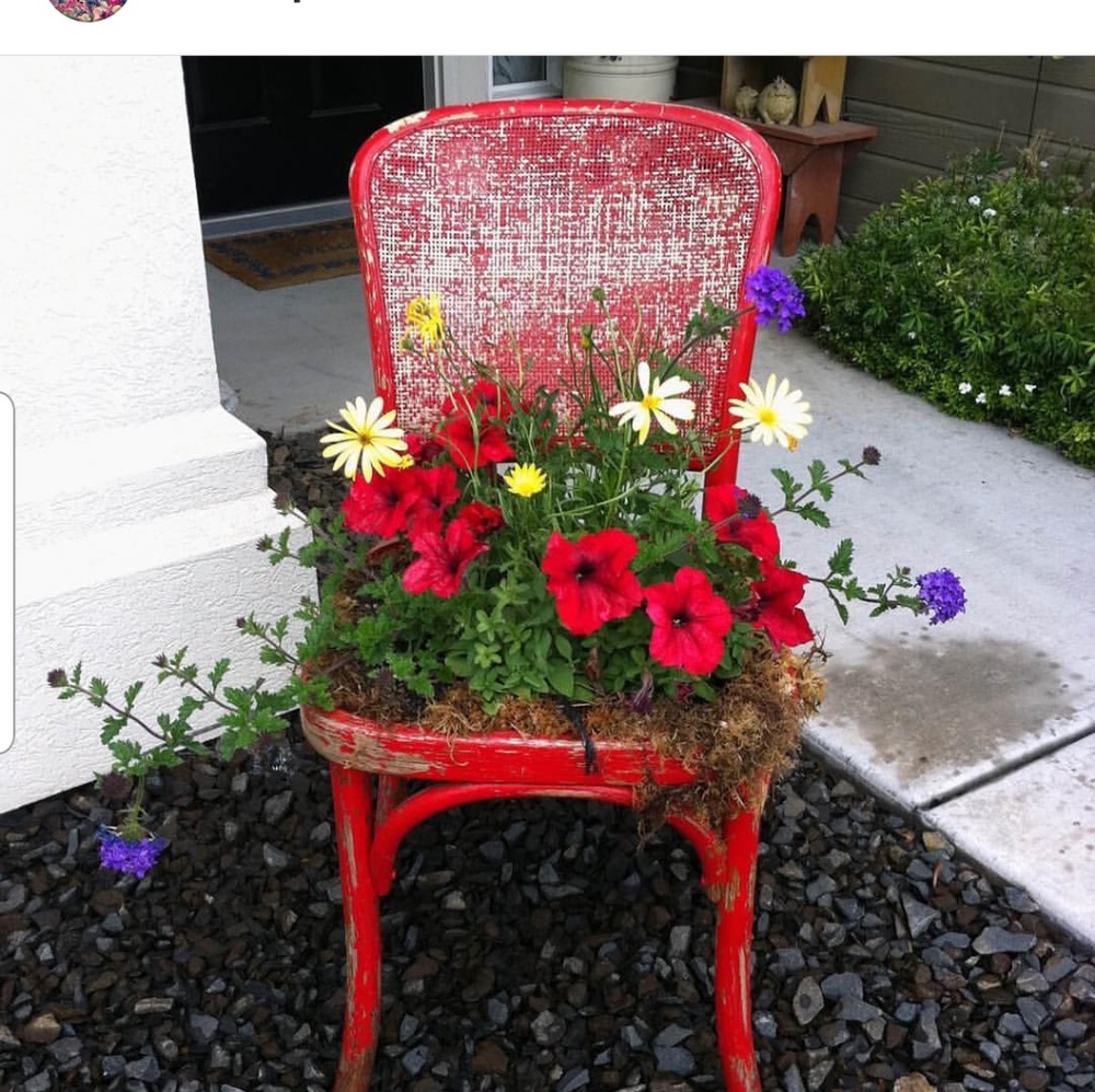 Meet your Posher, Debbie